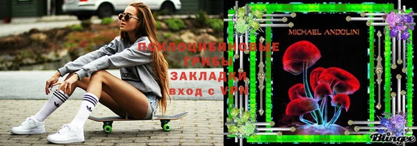 метадон Новозыбков