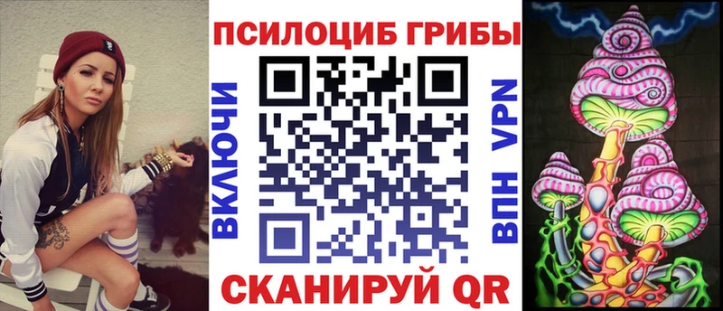 Галлюциногенные грибы Psilocybe  где продают   omg рабочий сайт  Бавлы 